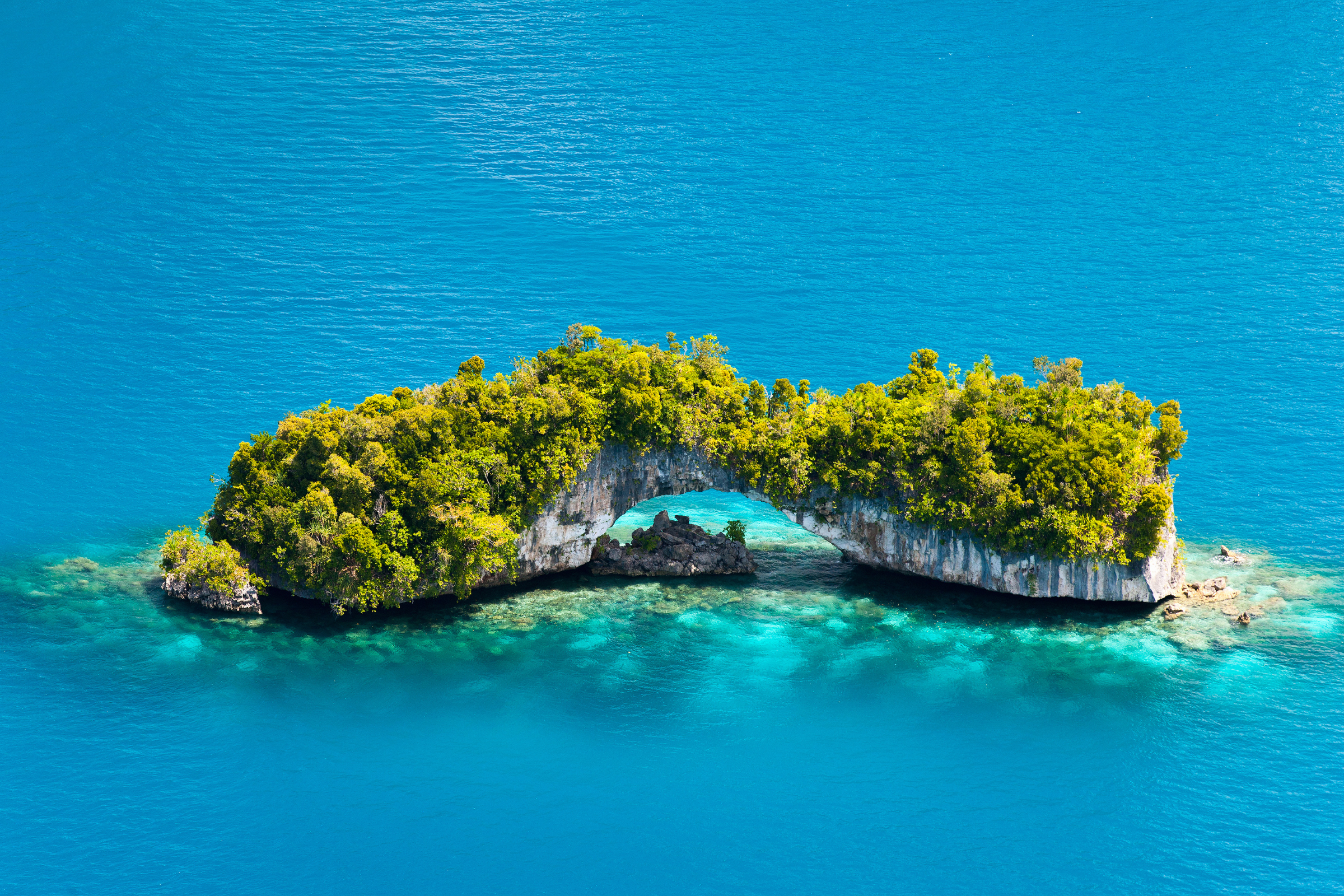 26 palau islands.webp